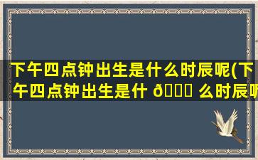 下午四点钟出生是什么时辰呢(下午四点钟出生是什 🕊 么时辰呢男孩)
